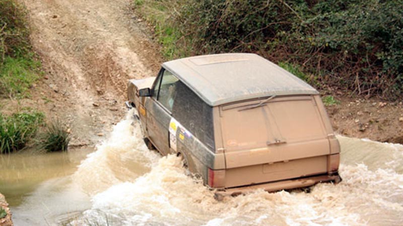 Regularity Trail Ride