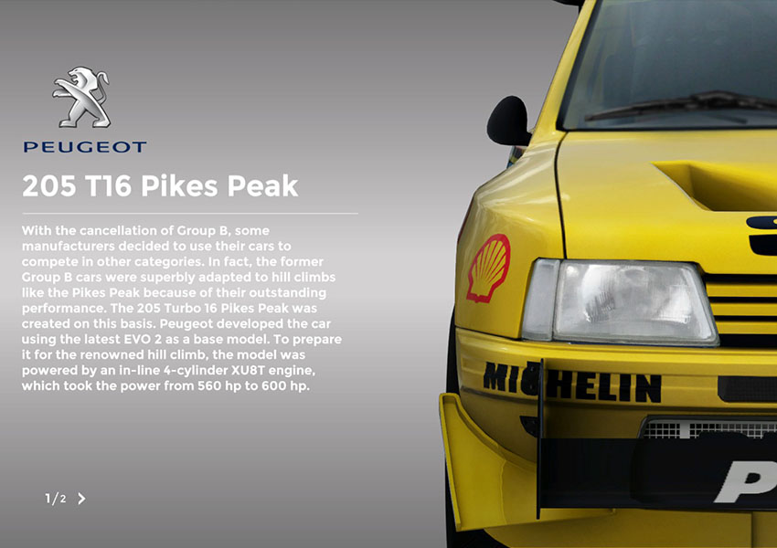 Sébastien Loeb Rally EVO - Peugeot 205 Pikes Peak